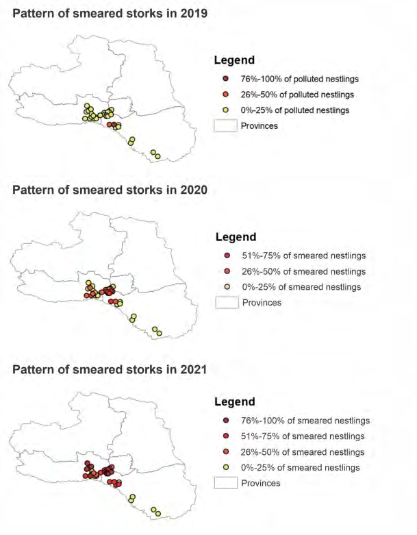 Figure 4: Pattern of smearing the White Storks in 2019- 2021.