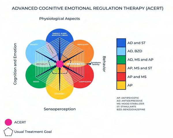 Figure 1: Six dimensions of symptoms identified by different colors are suggested to be used in this model: psychosis, anxiety, mood, neurophysiological aspects (ex. energy, sleep, and appetite), impulsivity and compulsion. These categories are allocated in four areas: physiological aspects, cognition and emotion behavior and sensoperception.