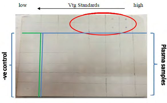 Figure 10: Gonadosomatic index of sea bream exposed to EE2 for two weeks. Calcium Carbonate Excretion Rate The results obtained after two weeks of exposure to EE2 revealed no significant difference between treatments. The control group excretion rate was 2.36 mg/kg/h, the low-dose group was 2.35 mg/kg/h, and the high-dose group rate was 2.21 mg/kg/h (Figure11).
