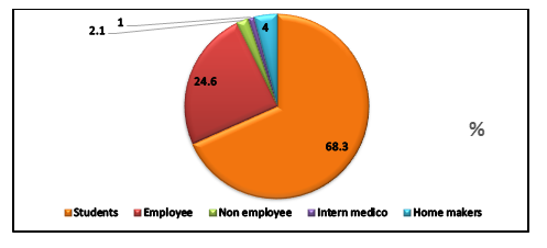 Figure 4: Type of job.