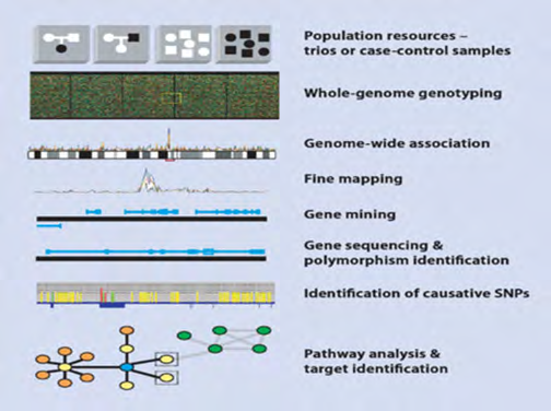 Figure 8: A spectrum of genomic tools to be exploited in PPM-related clinical practice.