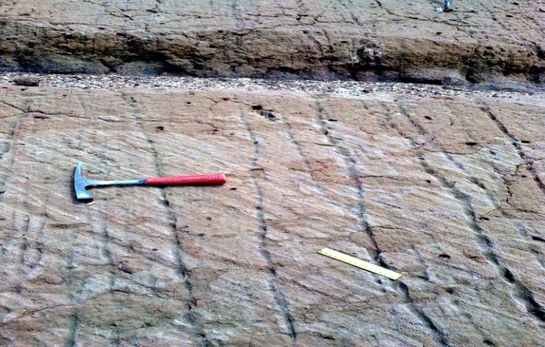 Figure 4: Planar cross bedding structure along Lokoja-Abaji-Abuja highway.