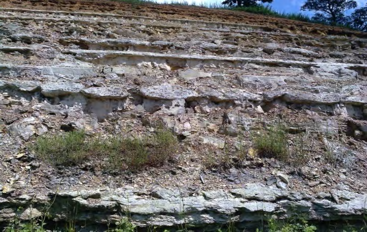 Figure 6: Concretional sandstone with wavy geometry along Lokoja-Abaji –Abuja highway.