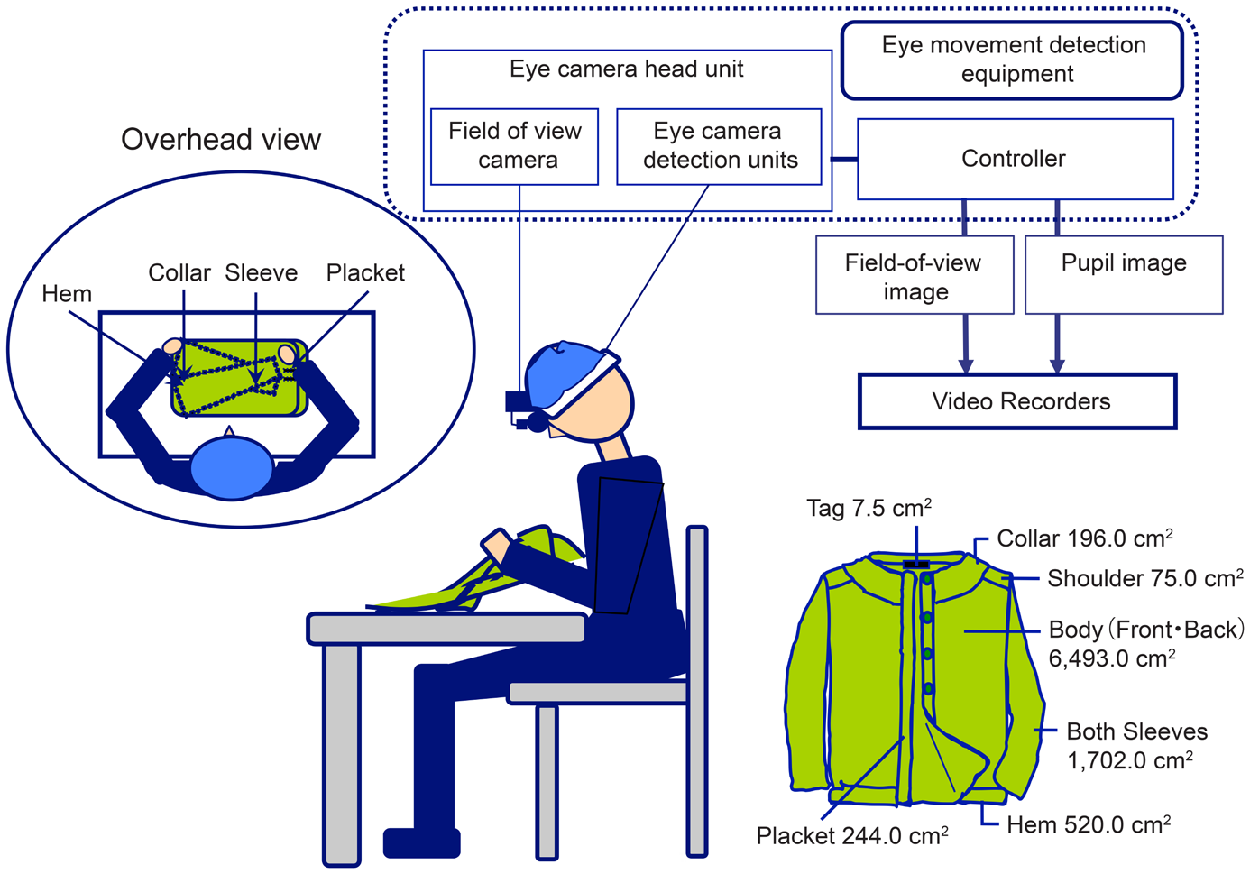 Figure 1: ** Experimental Setup.