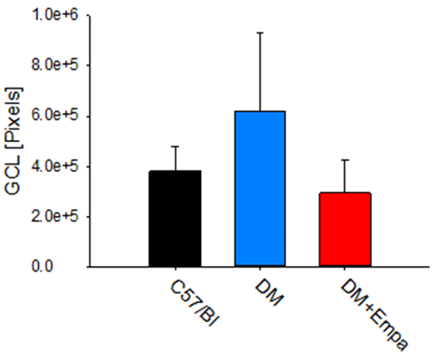Figure 3: Number of pixels in ganglionic cell layer (GCL). There was no significant difference between the three groups. All results are shown as mean ± SEM.
