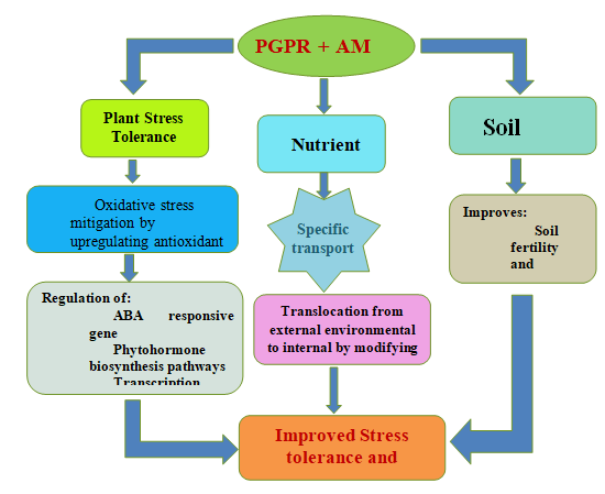 Figure 1: Utilizing them for plant growth in a variety of biological habitats can make a significant contribution to organic culturing for growth enhancement and yield improvement.