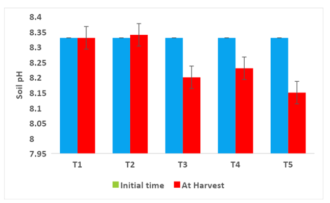 Figure 2: Soil pH at Initial time and after crop harvest (R-4). T1- Control; T2- Control (100% RDF); T3- Consortium AM Fungi; T4- Consortium PGPR; T5- Absolute Consortium PGPR+ AM Fungi