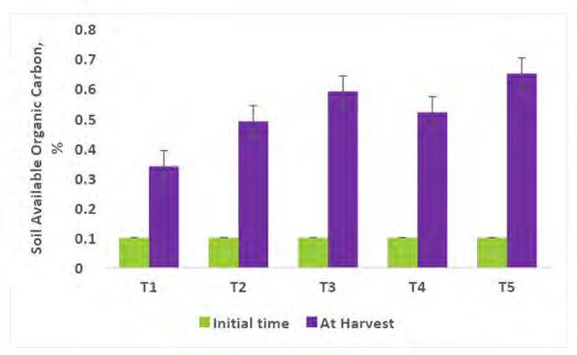 Figure 4: Soil organic carbon at the initial time and after crop harvest (R-4). T1- Control; T2- Control (100% RDF); T3- Consortium AM Fungi; T4- Consortium PGPR; T5- Absolute Consortium PGPR+ AM Fungi