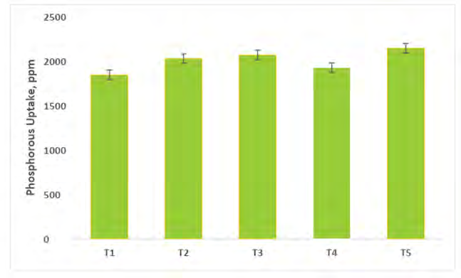 Figure 9: Phosphorous uptake in capsicum at harvest (R-4). T1- Control; T2- Control (100% RDF); T3- Consortium AM Fungi; T4- Consortium PGPR; T5- Absolute Consortium PGPR+ AM Fungi