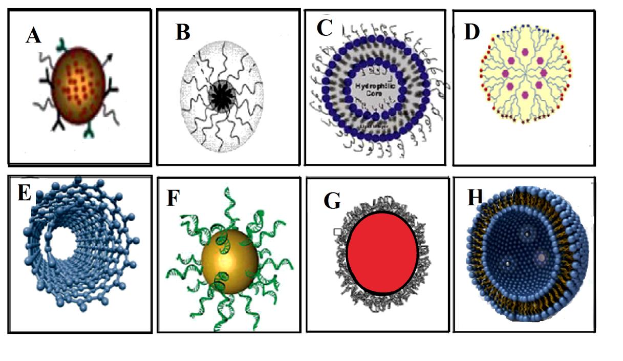 Figure 1: Various nanopharmaceutical dosage forms, A.Solid nanoparticulate, B.Polymeric micelle, C.PEGlytaed liposome, D.Dendrimer, E.Nanotube, F.Goldnanoparticles, G.Lipid core nanocapscule (LNCs), H.Nanoshell.