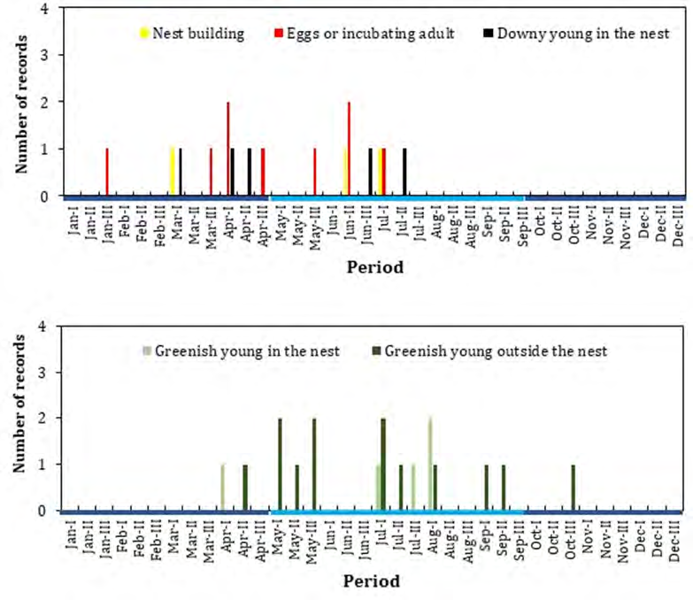 Figure 2: Seasonal distribution of records with evidence of breeding activities of the Horned Sungem (Heliactin biophus) in the Brazilian Cerrado, and obtained by citizen scientists between 2008 and 2022. Data was gathered in the WikiAves, eBird and iNaturalist databases in April 2022. Arabic numerals after each month represent three periods–(I): days 1–10, (II): days 11–20, (III): days 21–31 of each month. The horizontal bars in light and dark blue colors indicate the length of the dry and rainy seasons in the Cerrado, respectively.