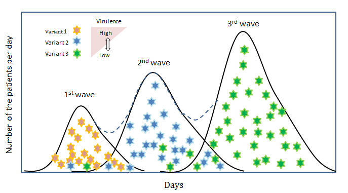 Figure 3: Epidemic model based on assumption that epidemic of SARS-CoV2 progresses as quasi-species.