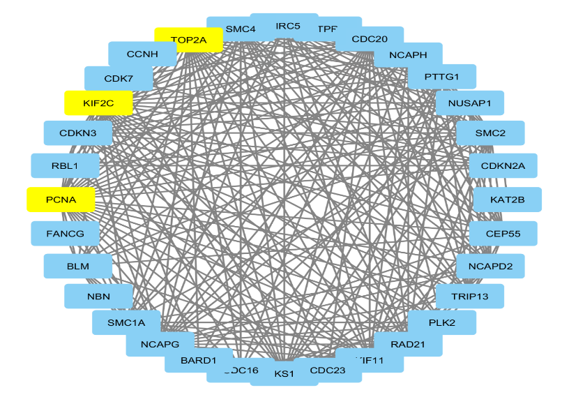 Figure 11: The Protein-Protein Interaction network of DEGs from module 3