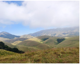 Figure 2: Mountain Roof Top Forests (MRTFs) in Western Ghats.