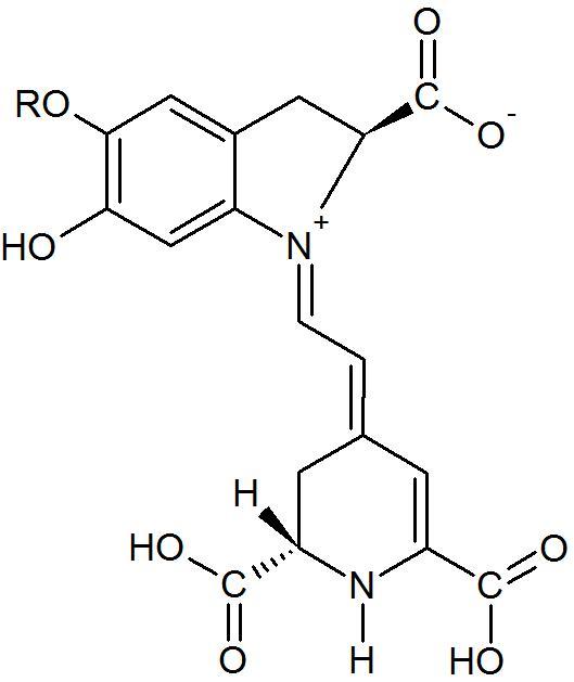 Figure 2: Chemical Structure of Gallic Acid. However, the antioxidant activity of dragon fruit is mainly due to the content of ascorbic acid (Vitamin C). As shown in (Table 3), dragon fruit contains 20.5 mg of vitamin C per 100 g of raw fruit [38]. The chemical structure of ascorbic acid is shown in (Figure 3). In living organisms, ascorbic acid serves in many physiological functions, such as acts as reductant to prevent cellular components from oxidative damage [39]. This is because ascorbic acid has the capability of serving as a scavenger in the oxidation of free radicals and oxygen-derived species, _e.g._, singlet oxygen, hydrogen peroxide and hydroxyl radicals [40]. Hence, ascorbic acid is found to be very useful in the treatment of photo-aging [41]. Instead, pro-oxidant properties of ascorbic acid also contribute to its antibacterial effects [42].