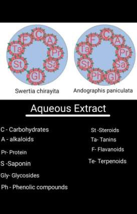 Figure 4: Graphical representation of Phytochemical Analysis in aqueous extract of _A. paniculata_ and _S. chirayita_.
