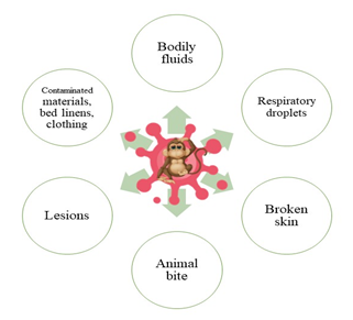 Figure 2: Transmission of the MXP virus.