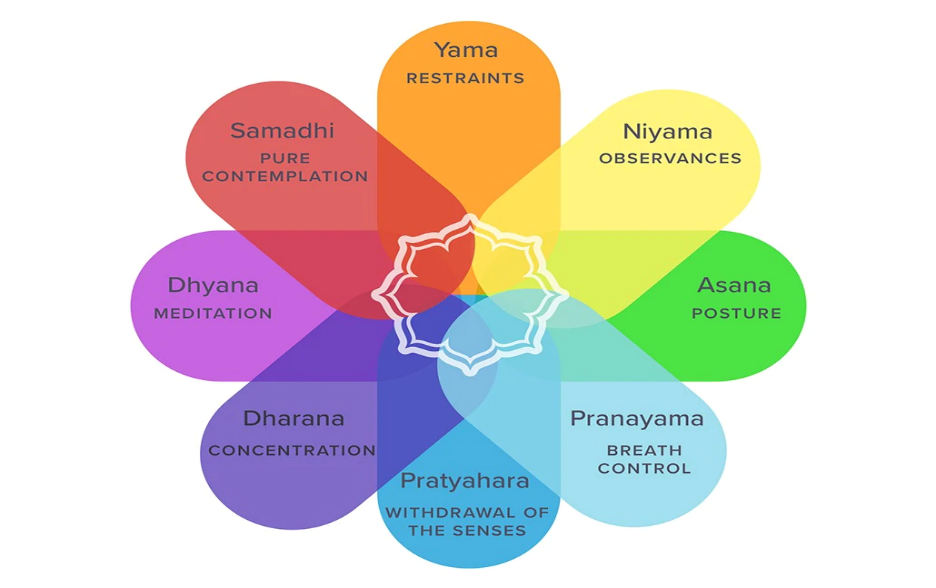 Figure 1: Eight limbs of yoga [11].