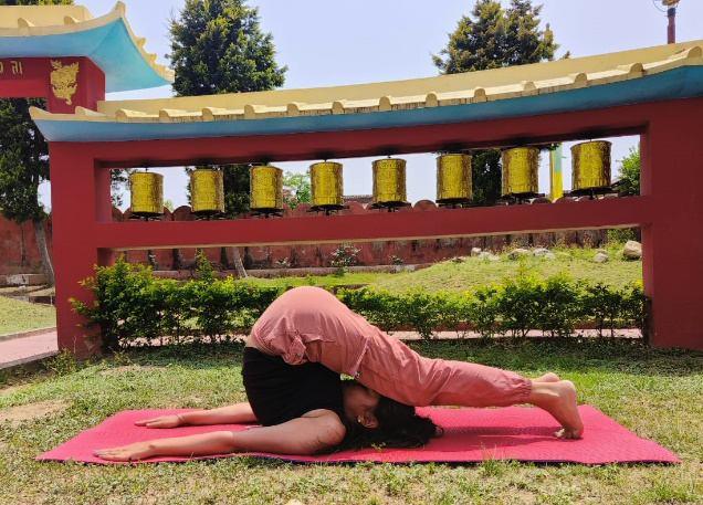 Figure 12: Halasana.