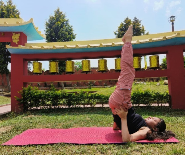 Figure 13: Sarvangasana.