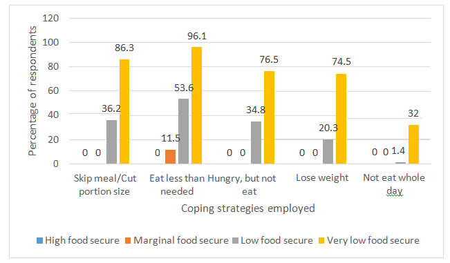 Figure 1: Coping strategies of respondents without children.