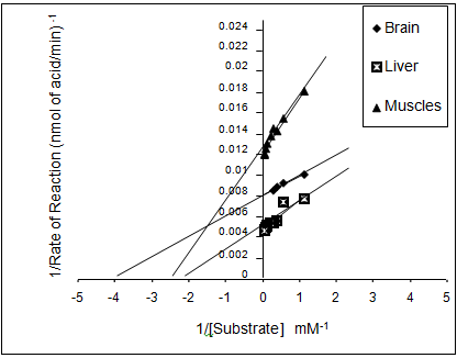 Figure 2: Line weaver Burke plot for AChE enzyme from different tissues a) brain, liver and muscle; b) gills of R. kanagurta.