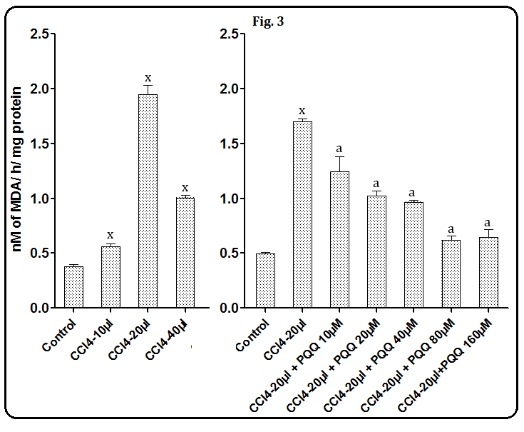 Figure 3: Effects of PQQ at 10, 20, 40, 80 and 160 µM on CCl4-induced hepatic LPO. Data are mean ± SEM (n=3). x, P< 0.001 compared to the respective control values. a, P< 0.001 as compared to the respective CCl4 treated value. Thus, concentration dependent effects were observed with PQQ that inhibited FeSO4/ CCl4/ H2O2-induced hepatic LPO. After incubating liver homogenates with pre- standardized concentrations of FeSO4 (5 mM), CCl4 (20 µl) and H2O2 (80 mM); there was an increase in LPO. However, out of five different concentrations of PQQ, only 20 µM, 80 µM and 80 µM were found to inhibit maximally the FeSO4/ CCl4/ H2O2-induced tissue LPO respectively. With respect to different antioxidant assays using PQQ, plant extracts and vitamin C; the results indicated that all six herbal extracts were effective in the radical scavenging assays. However, differential effects were found in PQQ and the test plant extracts. Interestingly PQQ exhibited better effects as compared to the plant extracts and Vit C. **ABTS assay:** The ABTS radical scavenging assay revealed that all three different concentrations of PQQ (25, 50, and 100 μg/ml) showed a marked scavenging of ABTS radicals (78.0%, 82.04% and 88.05%, respectively); which are significantly (P< 0.001 in all doses) higher as compared to that of plant extracts and Vit C. While RS & SC also showed the significant (P< 0.001) higher radical scavenging potential at 100 μg/ml (67.83 & 65.54% respectively) as compared to Vit C (Table 2).