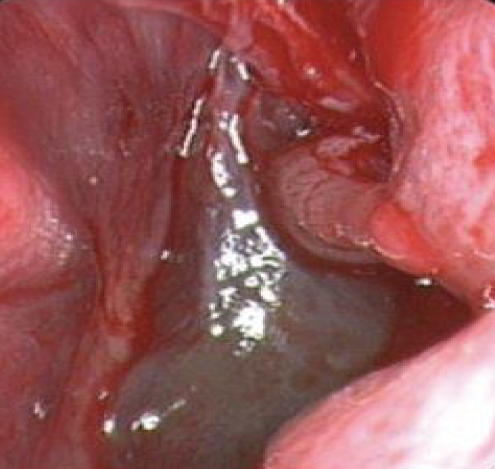 Figure 8