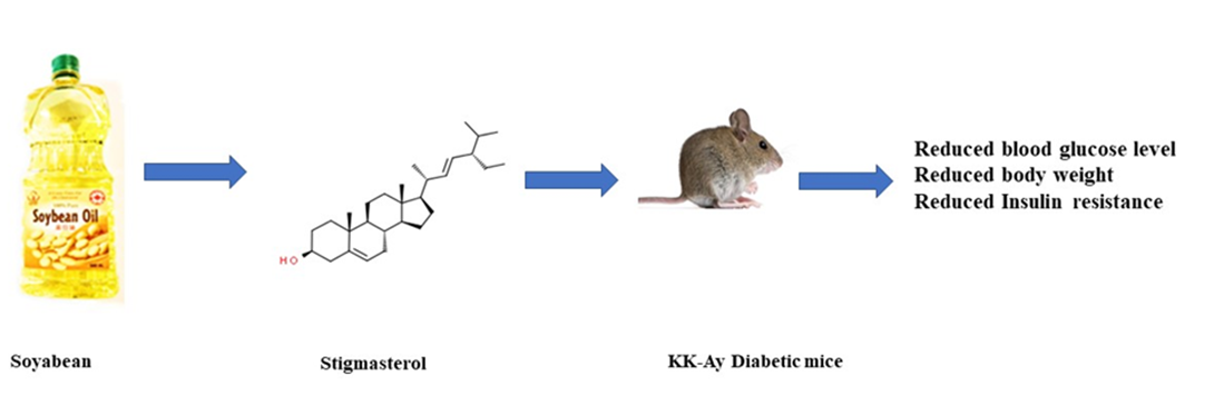Figure 4: Effect of Stigmasterol on KK-Ay Diabetic mice [5].