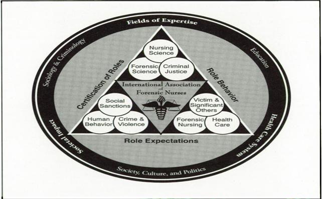 Figure 1: The theoretical framework of forensic nursing, based on an integrated model of nursing science and criminal justice.