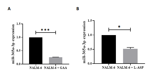 Figure 5: The expression levels of miR‐365a-3p in GAA‐ and L-ASP-treated Nalm6 cell line. Significant differences of alteration in the expression levels of miR‐365a-3p were measured between untreated and treated Nalm6 cells by quantitative RT‐PCR. (A) miR‐365a-3p (p = 0.0001) were confirmed down-regulated in GAA treatment compared with untreated cells; also, (B) the expression levels of miR‐365a-3p (p=0.0495) was decreased in L-ASP treatment compared with untreated cells. Interestingly, results showed that the expression levels of miR‐365a-3p reduced by GAA treatment compared to L-ASP treatment. U6 used as internal control. ( ⃰ P < 0.05, ⃰ ⃰ ⃰ P<0.001). RT PCR; real-time polymerase chain reaction.