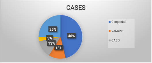 Figure 2: In the pediatric population, a total of 173 cases (52%) were operated, with 42 cases being arterial switch operations (24.2%), one case of ALCAPA repair (0.5%), 25 cases of TAPVC repair (14.4%) and others (60.6%).