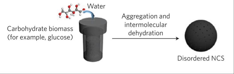 Figure 3: HTC synthesis method for fabricating the CS.