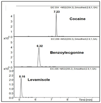 Figure 3: Reconstructed ion chromatogram reporting the specific ion traces of cocaine (10ng/mg), benzoylecgonine (5 ng/ mg) and levamisole (2.5 ng/mg).