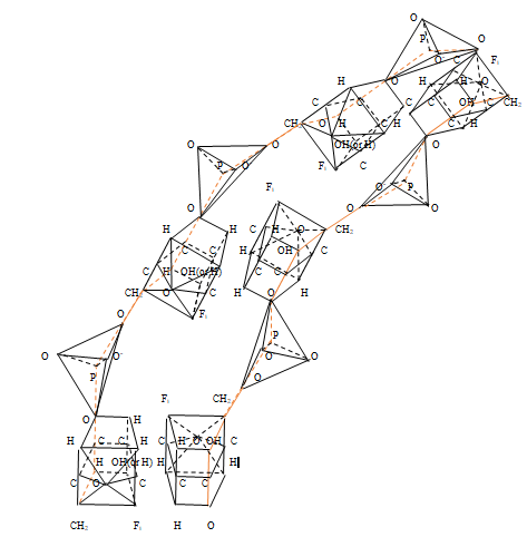 Figure 14: Double-stranded nucleic acid molecule in a simplified three-dimensional form.