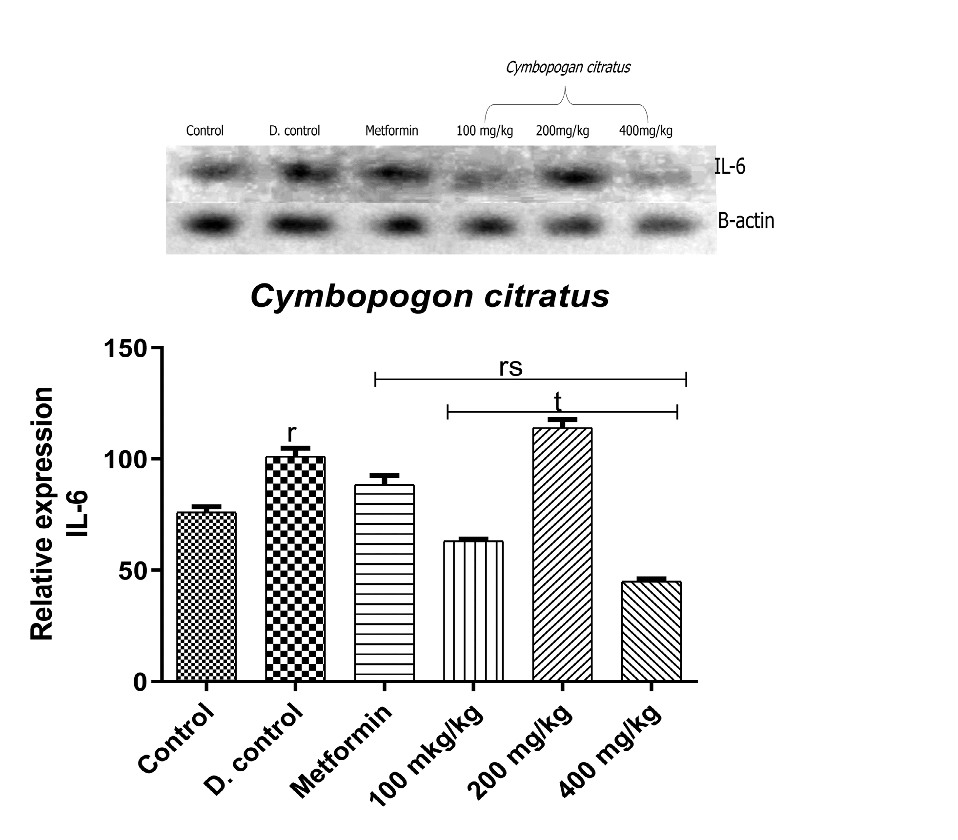 Figure 3: Qualitative-PCR analysis of _IL-6_ gene expression in the pancreas of alloxan-induced diabetic rats. Image representation of RT-PCR agarose gel electrophoresis for _IL-6_ gene followed by densitometric analysis. ‘r’ represents significant difference relative to control, ‘s’ represents significant difference relative to diabetic control, ‘t’ represents significant difference relative to metformin at p<0.05.