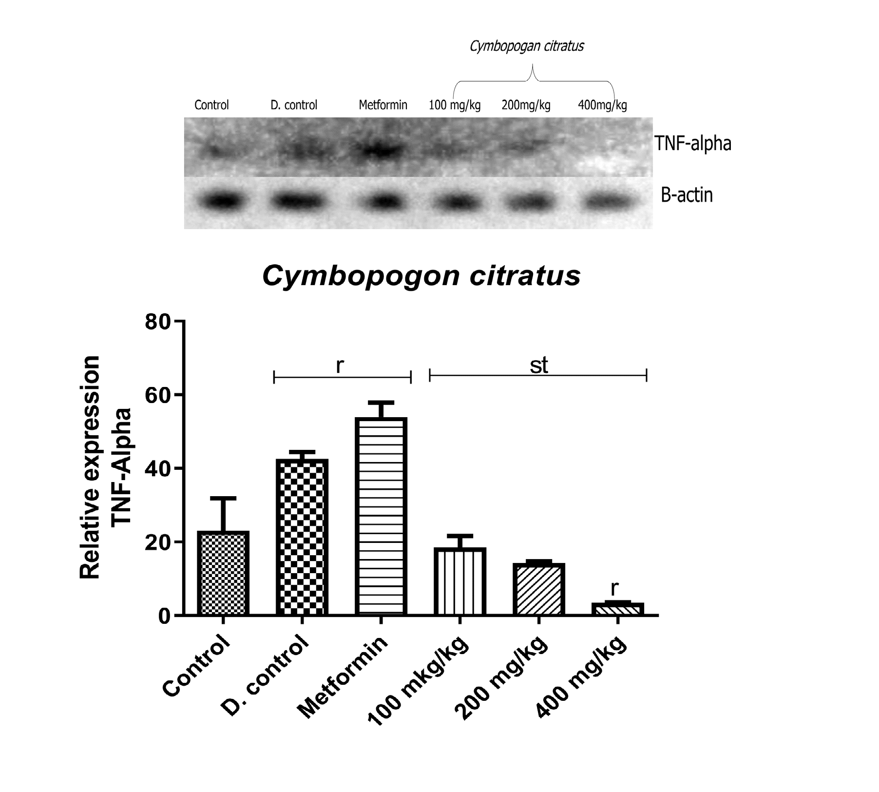 Figure 4: Qualitative-PCR analysis of _TNF-α_ gene expression in the pancreas of alloxan-induced diabetic rats. Image representation of RT-PCR agarose gel electrophoresis for _TNF-α_ gene expression followed by densitometric analysis. ‘r’ represents a significant difference relative to control, ‘s’ represents a significant difference relative to diabetic control, ‘t’ represents a significant difference relative to metformin at p<0.05.