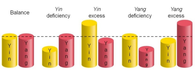 Figure 10: Relationship between _Yin, Yang, Qi_ and Blood.