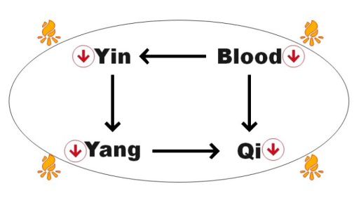 Figure 9: Tree metaphor showing the different viewpoints between Western and traditional Chinese medicine.