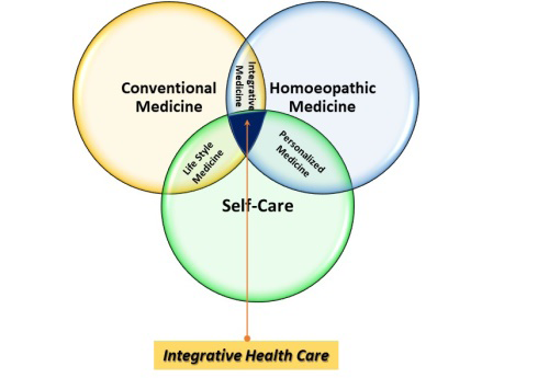 Figure 1: Integrative Health care.