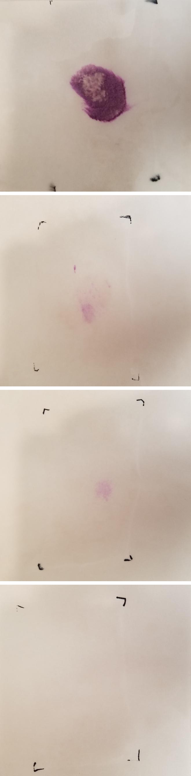Figure 1: Representative images of filter papers following AP mapping. A. Unwashed cotton control sample. B. Cotton sample washed in hot water after the stain dried. C. Cotton sample washed in cold water after the stain dried. D. Cotton sample washed in cold water while the stain was still wet.