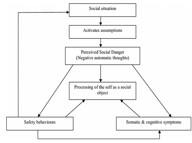 Figure 1: Cognitive model of social anxiety disorder [8].