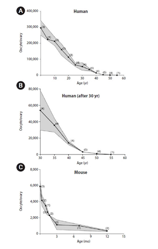 Figure 5: Role of NLRP3 in oocyte pool.