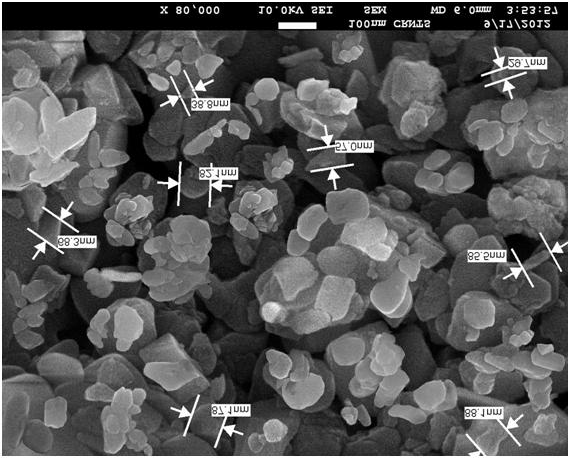 Figure 2: Field Emission Gun- Scanning Electron Microscopic features of Abhraka Bhasma.