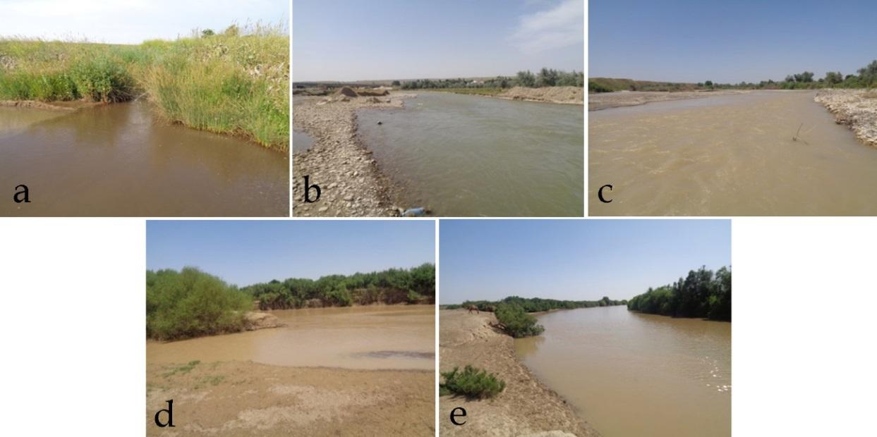 Figure 3: The Arys River tributaries in June 2016: a: Jabaglysu; b: Jetimsay; c: Aksu; d: Sayramsu; e: Badam; middle reaches; f: Badam, lower reaches.