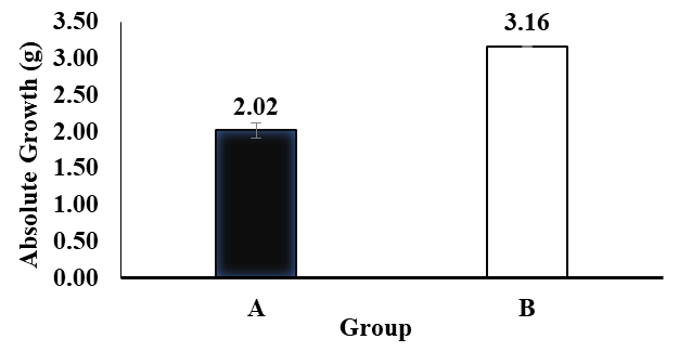 Figure 2: The results of this study in terms of absolute growth of goldfish during this research consisted of treatment A) Feeding without microcapsules of sea rabbit extract; and B) Feeding with the addition of sea rabbit extract microcapsules.