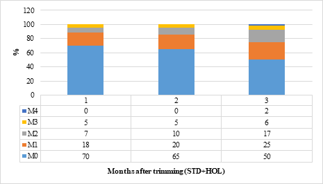 Figure 5: Changes in digital dermatitis scores (M0 = no signs, M1 = early stage, M2 = acute stage, M3 = heading stage, M4 = chronic stage) during 3 months after trimming (STD + HOL) methods of hind claws in multiparous cows.