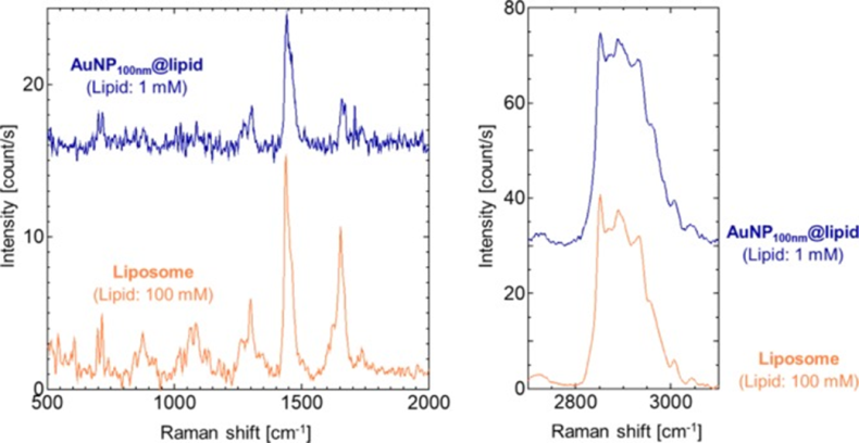 Figure 10: 18 shows the stability of MGITC-lipid-coated particles and Rho-lipid-coated-particles in which; • shows the SERS spectrum of MGITC-lipid-coated particles collected on day of synthesis, 12 days, and since 25 days after synthesis; and • shows the SERS spectrum of Rho-lipid-coated- particles collected on day of synthesis, and 7 days after synthesis, in which for both cases, (particles were stored in water at 4 deg C. between the measurements)
