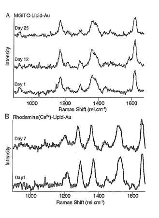 Figure 11: 19 from Daria Petrenko et al Journal List Nanomaterials (Basel) v.9(3); 2019 Mar PMC6474004 Logo of nanomat Nanomaterials (Basel). 2019 Mar doi: 10.3390/nano9030341 Raman (RS) Imaging of Nanocarriers for Drug Delivery Sally Vanden-Hehir, William J. Tipping, Martin Lee, Valerie G. Brunton, Anna Williams, and Alison N. Hulme