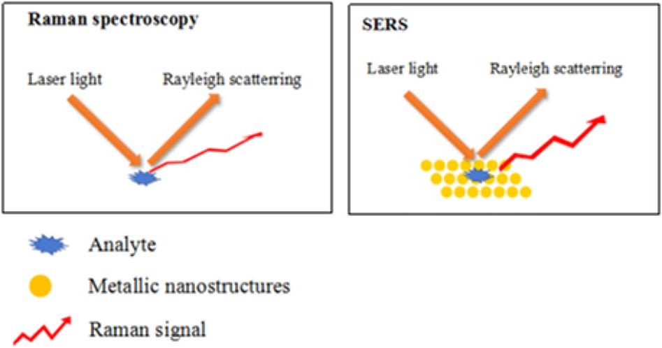Figure 5: Use of In-line Raman (RS) Spectroscopy as a Non- destructive and Rapid Analytical Technique to Monitor Aggregation of a Therapeutic Protein Monday, November 1, 2010 Amol M, et al.